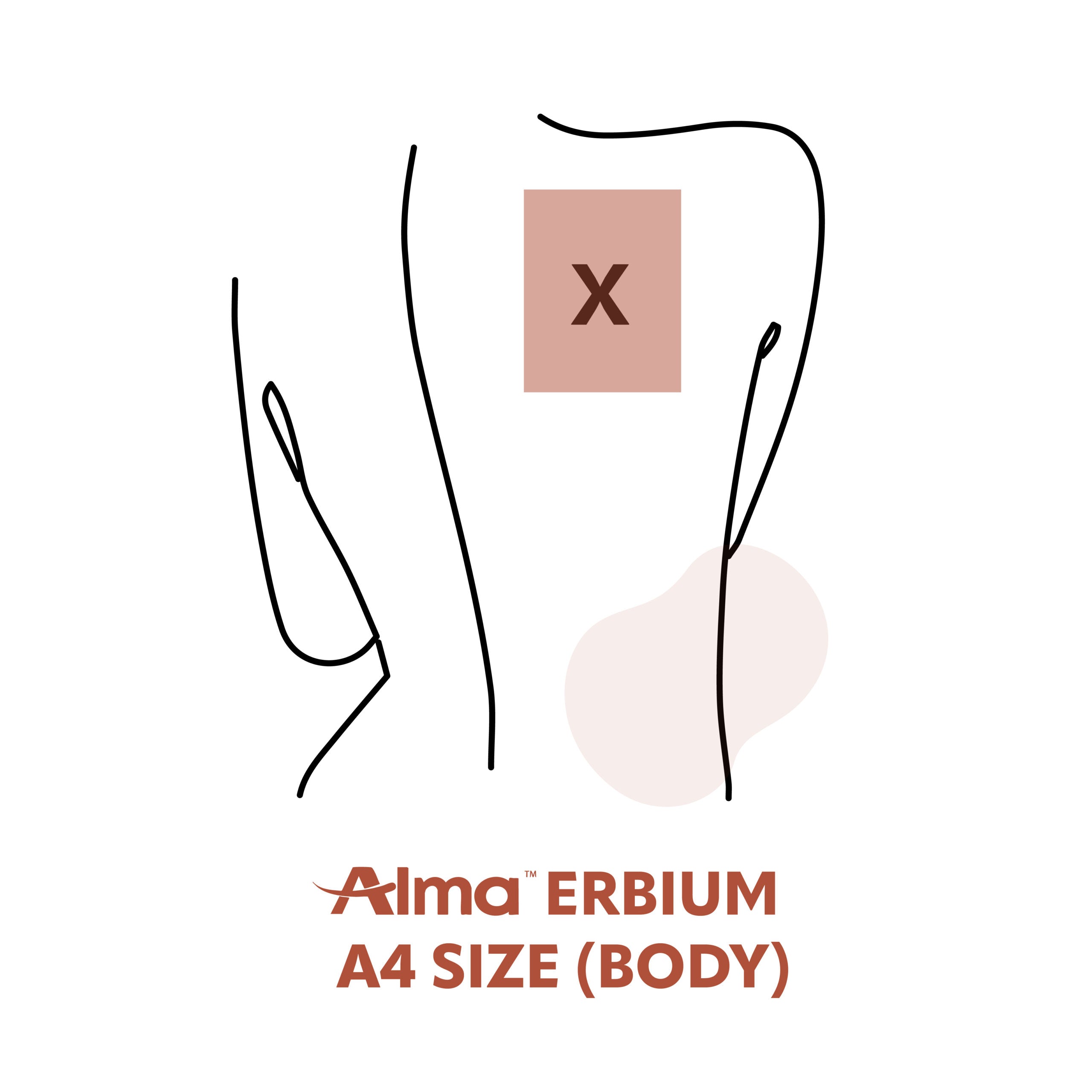 Erbium A4 Size (Body)