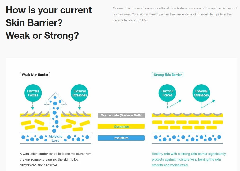 Dr Jart Ceramidin Body Scrub