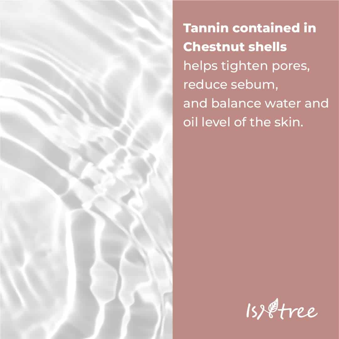 Isntree Chestnut BHA 2% Clear Liquid