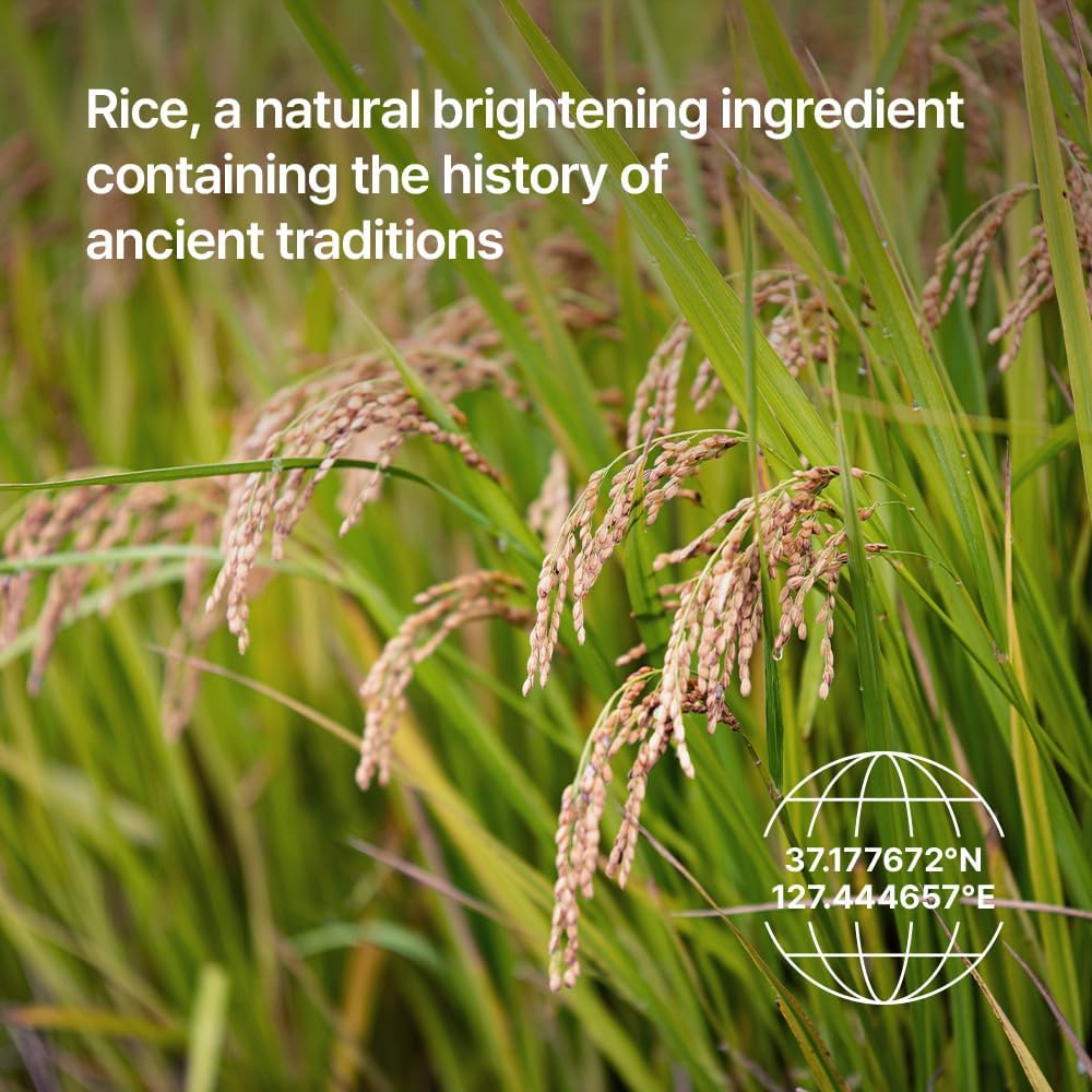 Parnell Niacinamide and Rice Brightening Pad