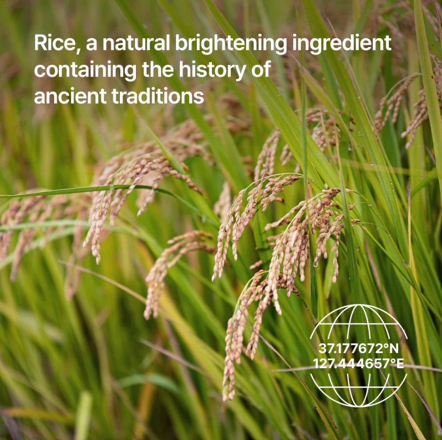 Parnell Niacinamide and Rice Brightening Serum