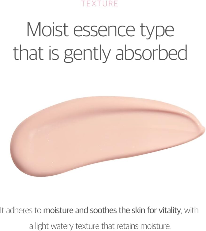 Ib Sunscreen Round Lab Birch Juice Moisturizing Tone-Up Sunscreen – Secret Skin