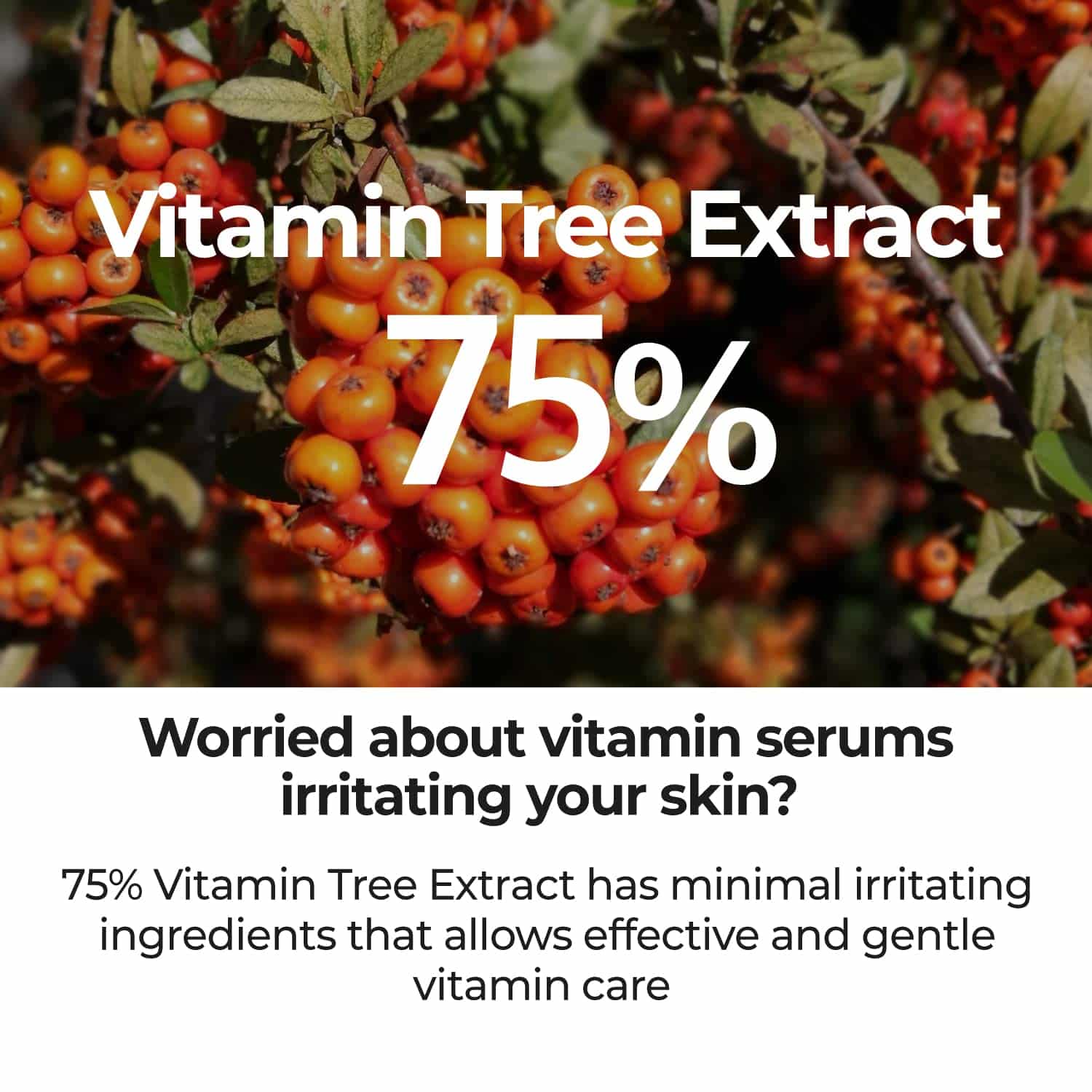 Numbuzin No.5 Goodbye Blemish Serum