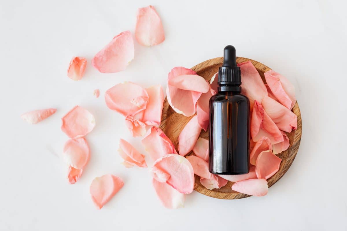 face serum