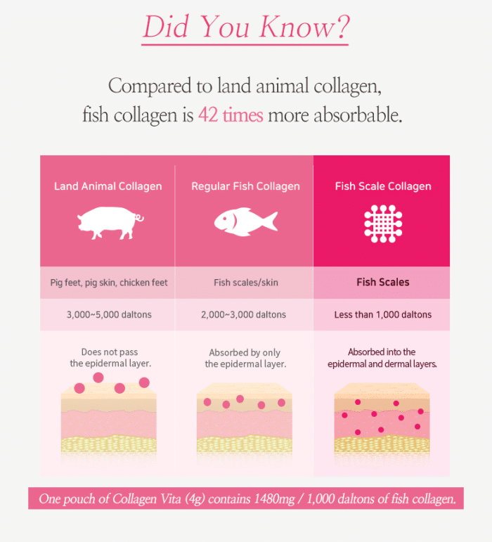 Collagen_Supplement_2