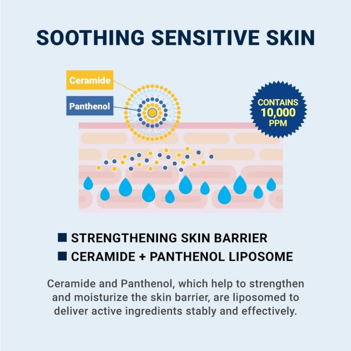 DermaB_CeraMDRepairCream_3