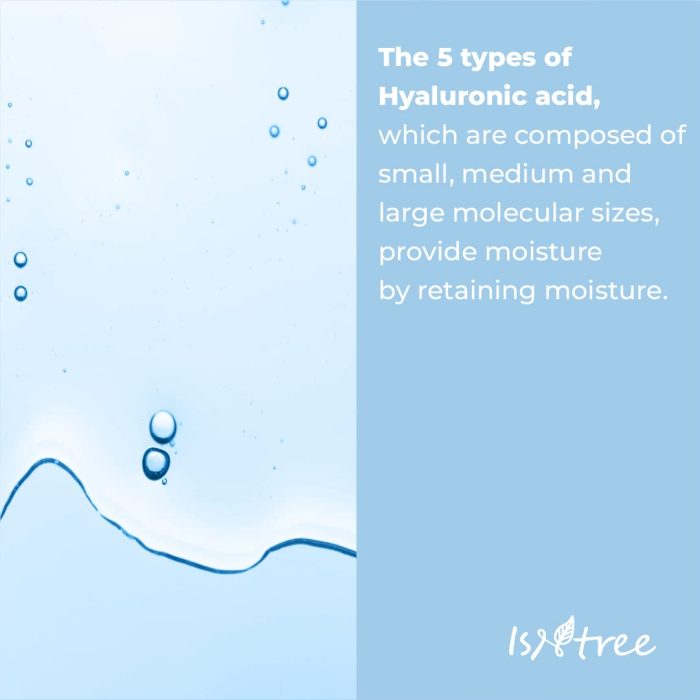 Isntree_HA_Toner_Plus_3