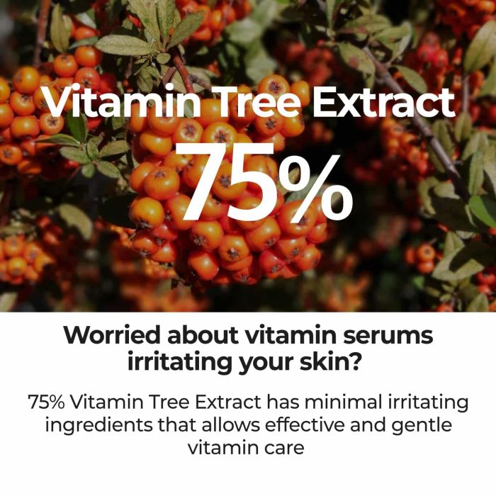 Numbuzin No.5 Goodbye Blemish Serum - Image 4