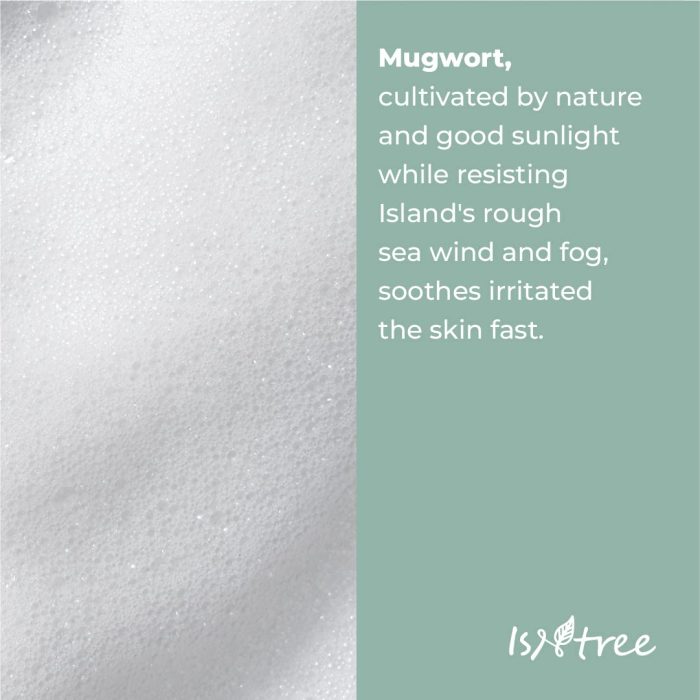 isntree mugwort powder.2