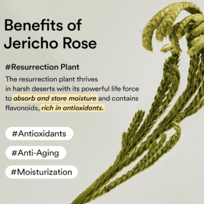 Abib Collagen Eye Patch Jericho Rose Jelly - Image 4
