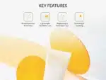 Celimax Pore+Dark Spot Brightening Care Sunscreen - Image 3