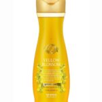 DAENG GI MEO RI YELLOW BLOSSOM Hair Loss Care Shampoo