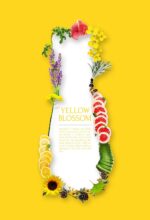 DAENG GI MEO RI YELLOW BLOSSOM Hair Loss Care Shampoo - Image 3