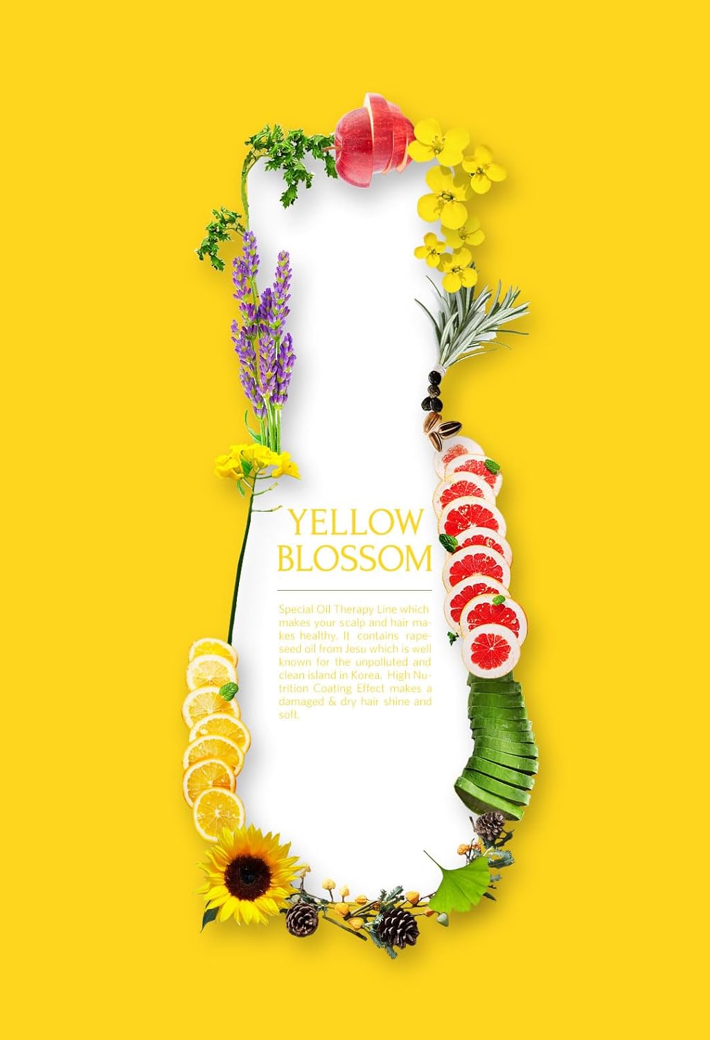 DAENG GI MEO RI YELLOW BLOSSOM Hair Loss Care Shampoo - Image 3