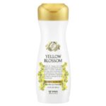 DAENG GI MEO RI YELLOW BLOSSOM Hair Loss Care Treatment
