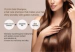 DAENG GI MEO RI Yula Gold Shampoo - Image 3