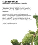 Celimax The Real Noni Energy Ampoule Mist - Image 3