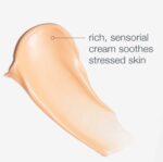 Dermalogica Multivitamin Power Recovery Cream - Image 8